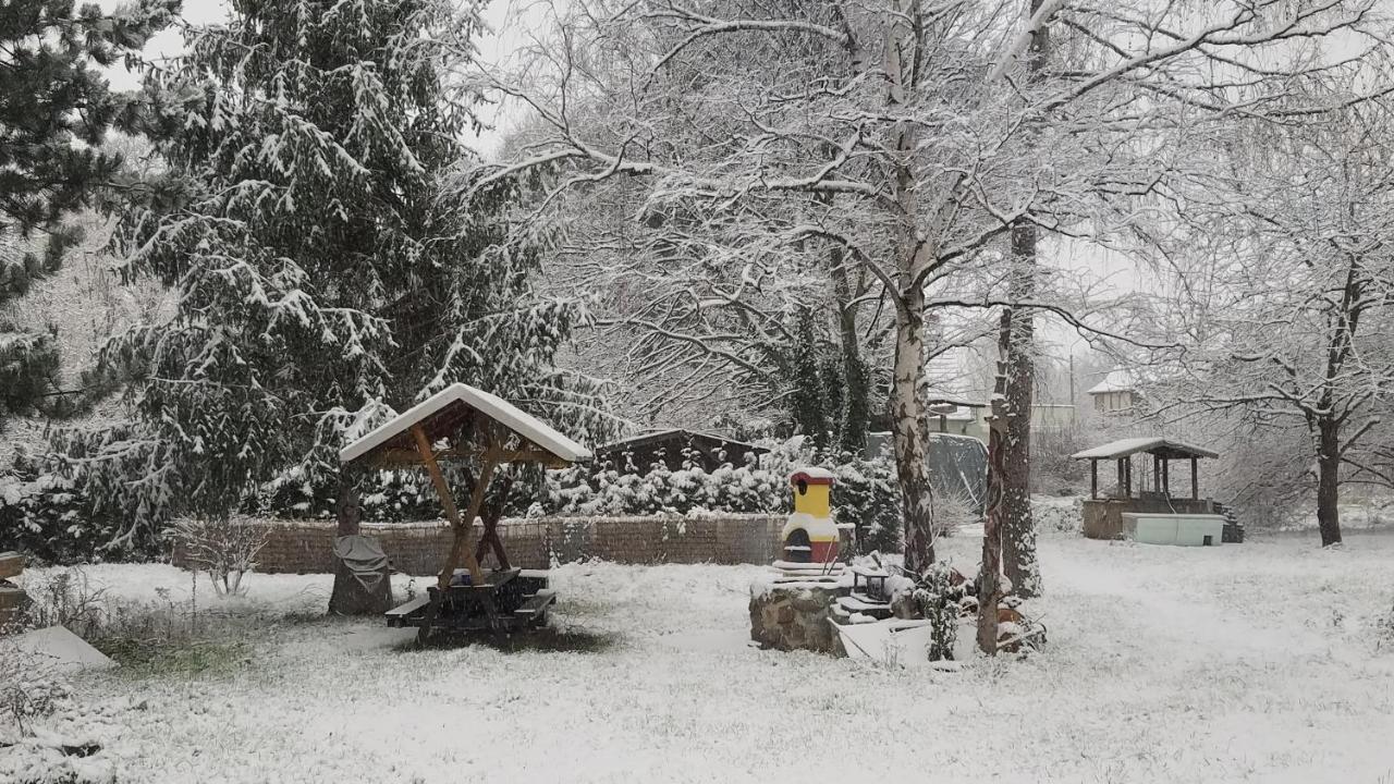 Ferienwohnung Sagenwelt Thale Buitenkant foto